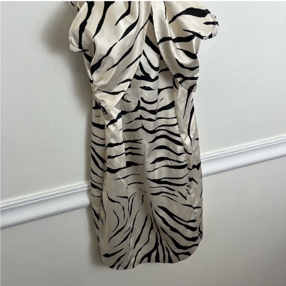 Extra small Zara zebra dress - Picture 2 of 8